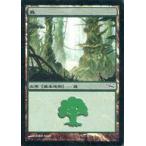 中古マジックザギャザリング 306/306[C]：【MRD】【FOIL】森/Forest