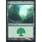 中古マジックザギャザリング 301/301[C]：【TSP】【FOIL】森/Forest