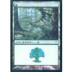 中古マジックザギャザリング 306/306[C]：【CHK】【FOIL】森/Forest