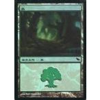 中古マジックザギャザリング 299/301[C]：【SHM】【FOIL】森/Forest