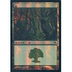 中古マジックザギャザリング 301/301[C]：【SHM】【FOIL】森/Forest