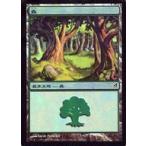 中古マジックザギャザリング 300/301[C]：【LRW】【FOIL】森/Forest