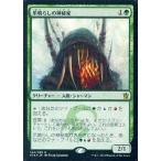 中古マジックザギャザリング [R]：【FOIL】爪鳴らしの神秘家/Rattleclaw Mystic
