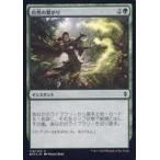 中古マジックザギャザリング [C]：【FOIL】自然の繋がり/Natural Connection