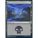 中古マジックザギャザリング [C]：【FOIL】沼(258/264)/Swamp(258/264)