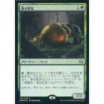 Suruga ya ztoki30618