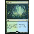 中古マジックザギャザリング [R]：【FOIL】霧深い雨林/Misty Rainforest