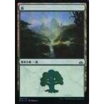 中古マジックザギャザリング [C]：【FOIL】森/Forest