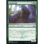 中古マジックザギャザリング 122/259[U]：【FOIL】樹木園の精霊/Arboretum Elemental