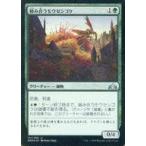 中古マジックザギャザリング 131/259[U]：【FOIL】絡み合うモウセンゴケ/Grappling Sundew