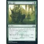 中古マジックザギャザリング 145/259[U]：【FOIL】芽吹く更生/Sprouting Renewal
