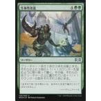 中古マジックザギャザリング 123/259[U]：【FOIL】生体性改造/Biogenic Upgrade