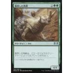 中古マジックザギャザリング 125/259[U]：【FOIL】激昂した角獣/Enraged Ceratok