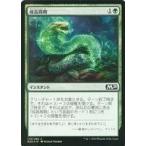 中古マジックザギャザリング [C]：【FOIL】成長周期/Growth Cycle
