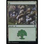 中古マジックザギャザリング 384[C]：【FOIL】森(384)/Forest