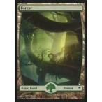 中古マジックザギャザリング 246a/249[C]：【ZEN】Forest/森