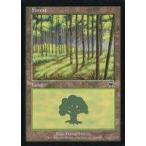 中古マジックザギャザリング 350/350[C]：【ONS】Forest/森