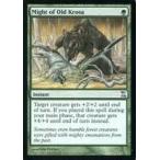 中古マジックザギャザリング 204/301[U]：【TSP】Might of Old Krosa/古きクローサの力