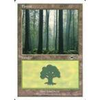 中古マジックザギャザリング 90/90[C]：【BTD】【白枠】Forest/森