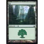 中古マジックザギャザリング 303/306[C]：【RAV】Forest/森