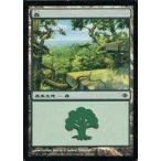 中古マジックザギャザリング 247/249[C]：【ALA】Forest/森