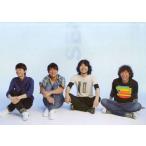 中古パンフレット(ライブ・コンサート) ≪パンフレット(ライブ)≫ パンフ)Mr.Children STADI