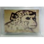 中古パンフレット(ライブ・コンサート) ≪パンフレット(ライブ)≫ CD付)パンフ)SOPHIA TOUR 2001 T