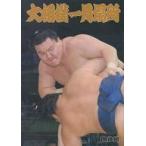  б/у проспект { проспект ( спорт )} брошюра ) большой сумо один месяц место (2013 год )