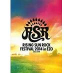 中古パンフレット ≪パンフレット(ライブ)≫ パンフ)RISING SUN ROCK FESTIVAL 2014 in EZO