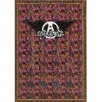 中古パンフレット(ライブ・コンサート) ≪パンフレット(ライブ)≫ パンフ)AEROSMITH NiNe LiVes ToUr