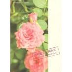 中古パンフレット ≪パンフレット(邦画)≫ パンフ)西の魔女が死んだ