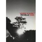 中古パンフレット(ライブ・コンサート) ≪パンフレット(ライブ)≫ パンフ)THEE MICHELLE GUN