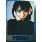 中古音楽雑誌 History of PEDRO 特典