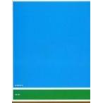 中古音楽雑誌 ap bank fes 05