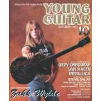  б/у Young гитара YOUNG GUITAR 1991/10 Young * гитара 
