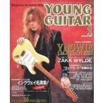  б/у Young гитара YOUNG GUITAR 1992/1 Young * гитара 