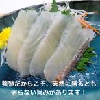 寿司 真鯛の湯引き 60g(6g×10切 お刺身スライス 湯引きする事で旨みを引き出しました 流水解凍OK 寿司 寿司ネタ ギフト プレゼント 手巻き寿司 生食用