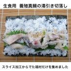 寿司 いろんな用途で使用 寿司ネタ 真鯛湯引き切り落とし 250g 業務用　生食用 まだい 養殖 刺身用 海鮮丼 パスタ サラダ 手巻き寿司 寿司ネタ 和洋中