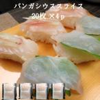 ショッピング端っこ 20枚×4p【送料無料】 生食用パンガシウススライス6g×20枚×4p 寿司ネタ バサ パサ 冷凍 業務用 手巻き カルパッチョ サラダ 海鮮丼