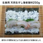 寿司 いろんな用途で使用 寿司ネタ 天然生海老端材 250g 業務用 生食用 すしねた えび 天然 刺身用 海鮮丼 手巻き寿司 寿司ネタ ブラウン海老使用