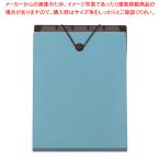 ファイルモ リュックサックファイル DF-A411S-B ブルー