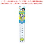 先生おすすめ直定規 15cm APJ93  1本