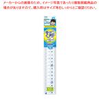 先生おすすめ直定規 18cm APJ136  1本