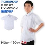 スクールシャツ 半袖 男子 ノーアイロン カッターシャツ A体 中学生 学生服 制服 140cmA〜190cmA (トンボ yシャツ ワイシャツ 形態安定 男の子) (取寄せ)