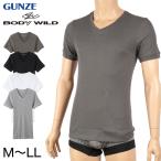 グンゼ BODY WILD Vネック リブ Tシャツ bodywild 綿100％ M〜LL (GUNZE ボディーワイルド メンズ 男性 下着 肌着 ｔシャツ インナー 半袖 M L LL) (在庫限り)