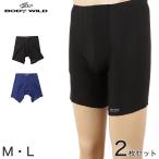 グンゼ ボディワイルド ボクサーパンツ メンズ エアーズ AIRZ 2枚セット M・L (BODYWILD ボクサー 男性 パンツ インナー 下着 肌着 前閉じ) (在庫限り)