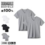  Gunze v шея t рубашка корпус wild хлопок 100 2 листов комплект M L LL v шея нижнее белье нижнее белье одноцветный внутренний 2 шт. комплект gunze bodywild белый чёрный пепел подарок подарок 