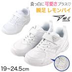 瞬足 女の子 スニーカー 白 レモンパイ 白スニーカー スクール シューズ 2E 19cm〜24.5cm 外履き ホワイト アキレス 学校 中学校 ジュニア 子供 靴