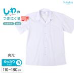 スクールシャツ 半袖 男子 開襟シャツ 110cmA～180cmB (B体 学生服 ワイシャツ 中学生 高校生 男の子 制服 シャツ 形態安定 ノーアイロン Yシャツ スクログ)