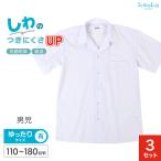 ショッピング半袖シャツ スクールシャツ 半袖 男子 開襟シャツ 3枚セット 110cmA〜180cmB (B体 学生服 ワイシャツ 中学生 高校生 制服 シャツ 形態安定 Yシャツ) (送料無料)